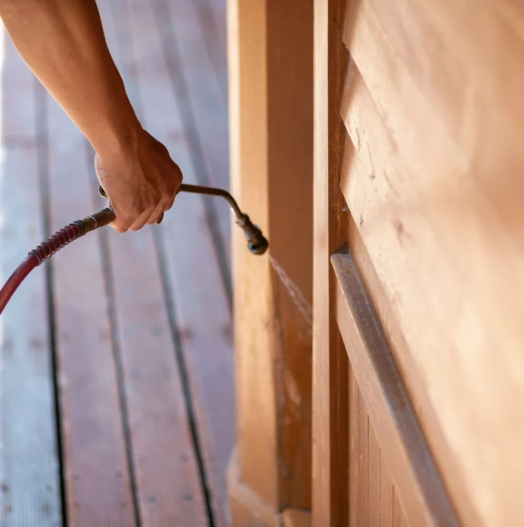 Trusted Pest Control - Mount Laurel Pest Control Pros | Mount Laurel, NJ